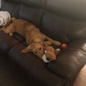 Meet your Posher, Tiffany